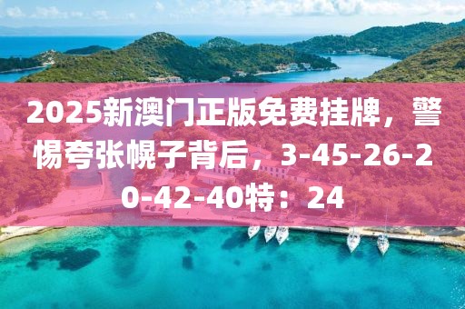2025新澳门正版免费挂牌，警惕夸张幌子背后，3-45-26-20-42-40特：24