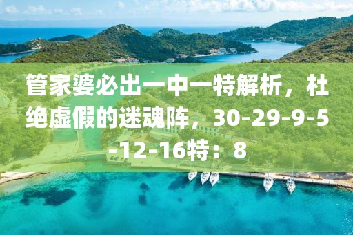 管家婆必出一中一特解析，杜绝虚假的迷魂阵，30-29-9-5-12-16特：8